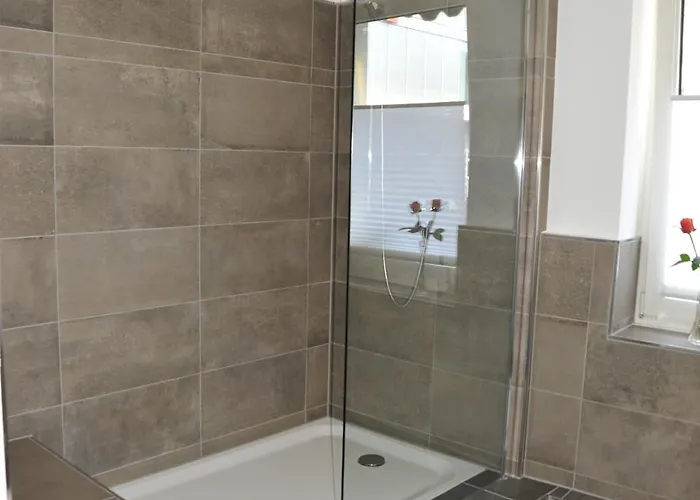 Rheinischer Hof Hotel